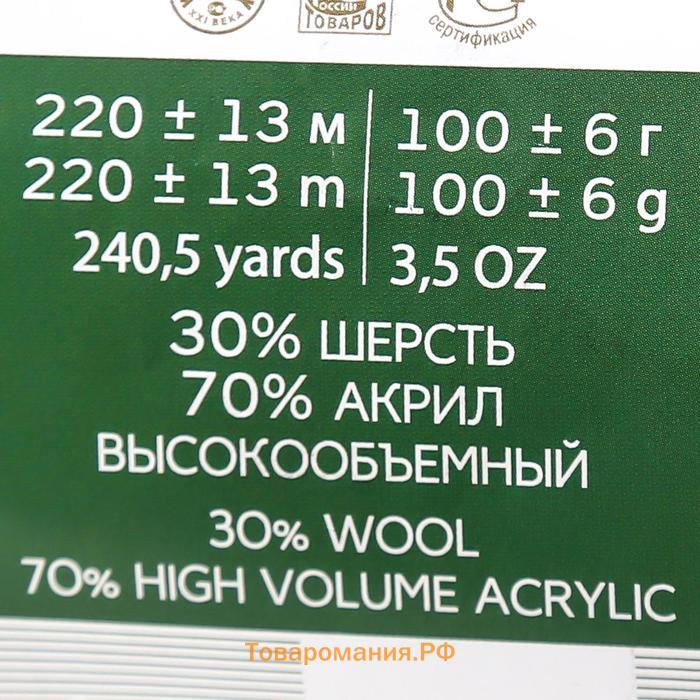 Пряжа "Народная" 30% шерсть, 70% акрил объёмный 220м/100гр (42-Слива)