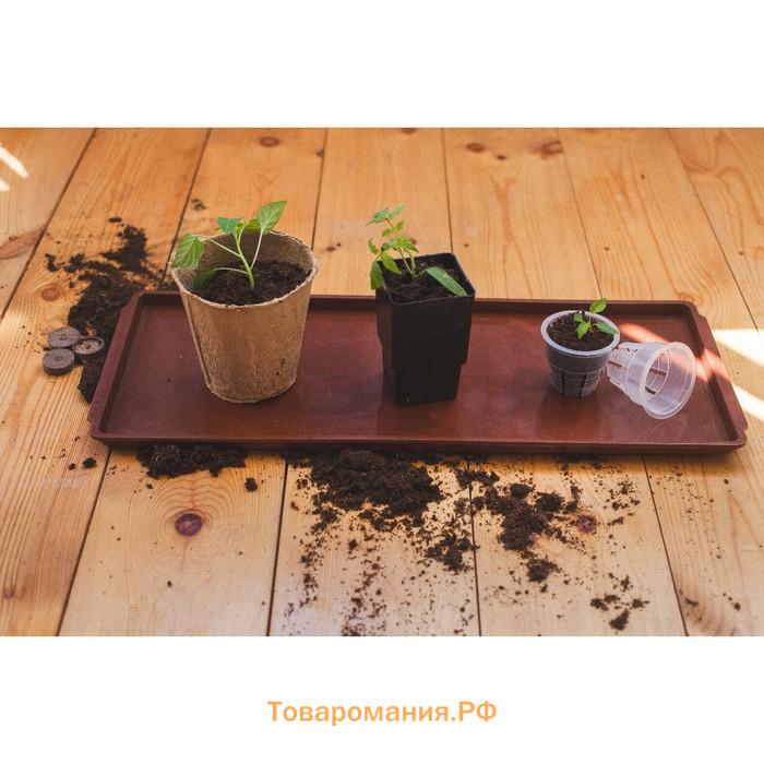 Поддон для рассады, 48×14×2 см, пластик, цвет МИКС