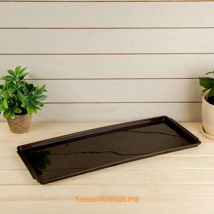 Поддон для рассады, 48×14×2 см, пластик, цвет МИКС