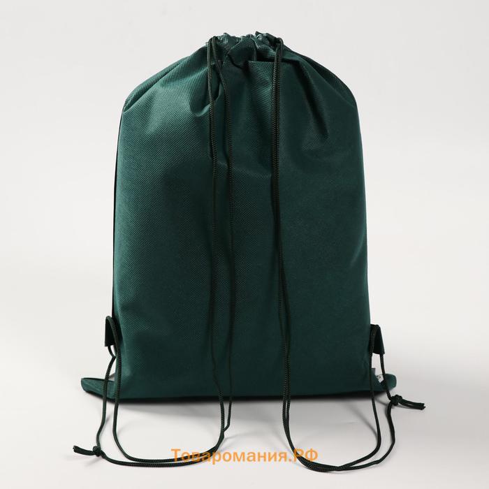 Мешок для обуви «Дино» 41×30 см
