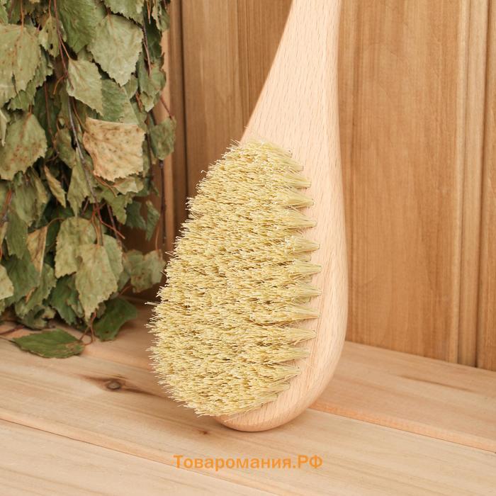 Щетка массажная с длинной ручкой, тампико «Добропаровъ» 38.5 см × 8 см × 4.5 см