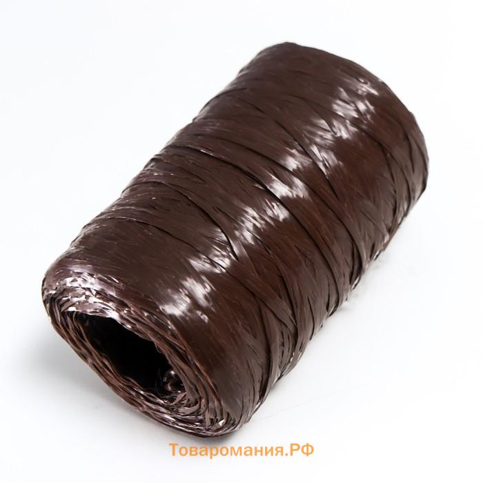 Пряжа "Для вязания мочалок" 100% полипропилен 400м/100±10 гр в форме цилиндра (мол.шоколад)