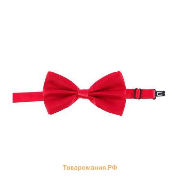 Карнавальная бабочка, малиновая