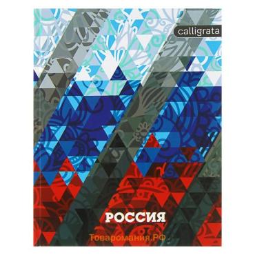 Дневник школьный для 1-11 классов, «Россия геометрия», твёрдая обложка 7БЦ, глянцевая ламинация, 40 листов