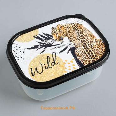 Ланч бокс прямоугольный Wild, 500 мл