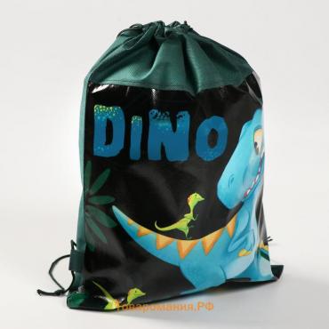 Мешок для обуви «Дино» 41×30 см