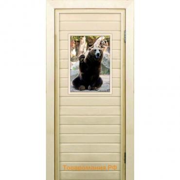 Дверь для бани со стеклом (40*60), "Медведь-3", 180×70см, коробка из осины